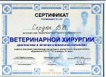 Участие в мастер-классах и повышении квалификации ветеринарных врачей, ветклиника "Ветус"