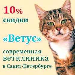 Ветеринарная клиника "Ветус" в Санкт-Петербурге