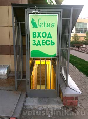 вход в ветлинику "Ветус" на Выборгском шоссе  